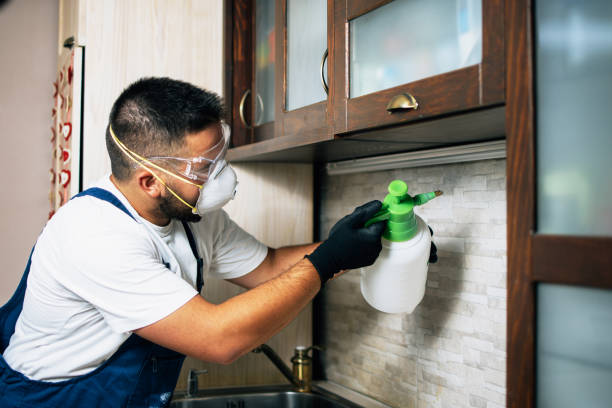 Best Best Pest Control Companies  in Fox Lake Hls, IL