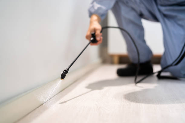 Best Pest Prevention Services  in Fox Lake Hls, IL