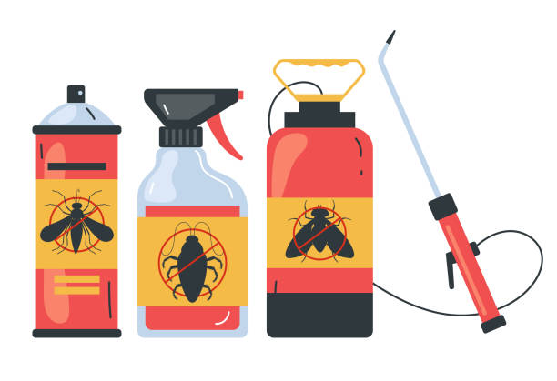 Best Termite Control Services  in Fox Lake Hls, IL