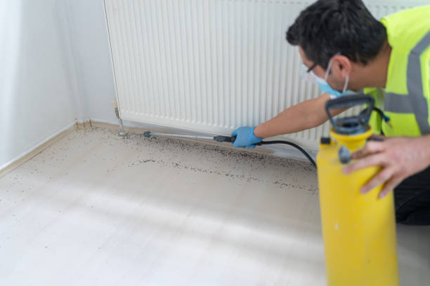 Best Pest Removal Services  in Fox Lake Hls, IL