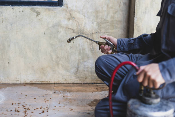 Best Wasp Removal Services  in Fox Lake Hls, IL